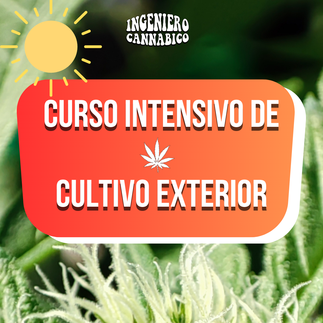 Curso de Autocultivo Exterior