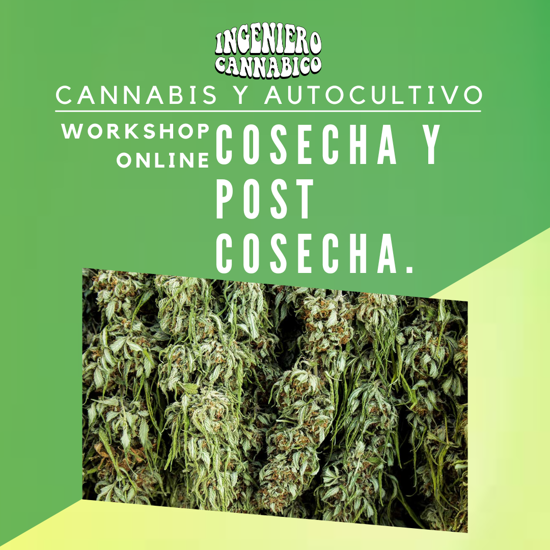 workshop sobre cosecha y postcosecha